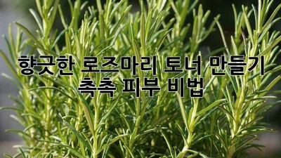 향긋한 로즈마리 토너 만들기🌿 촉촉 피부 비법!