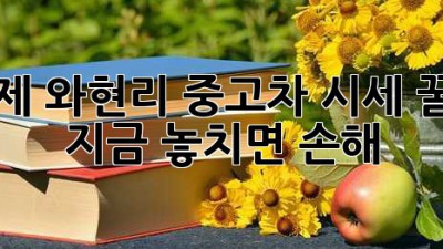 거제 와현리 중고차 시세 꿀팁🍯 지금 놓치면 손해!