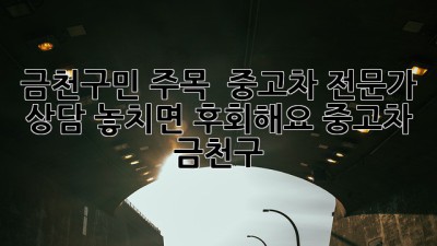금천구민 주목! 🚗 중고차 전문가 상담, 놓치면 후회해요! #중고차 #금천구